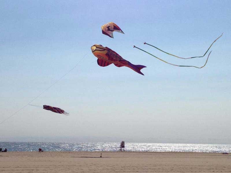 several kites flying in the air on a beach